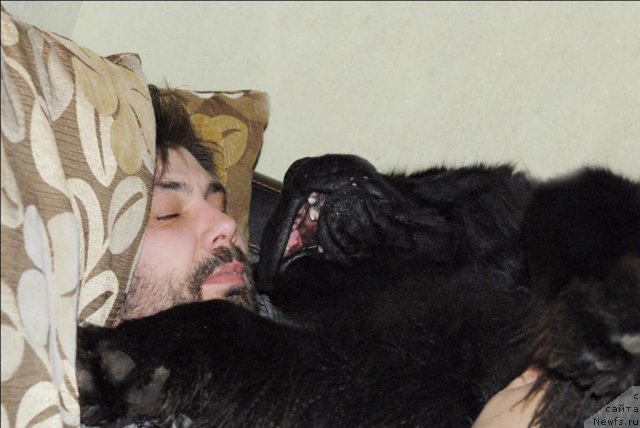 Фотография № 64194