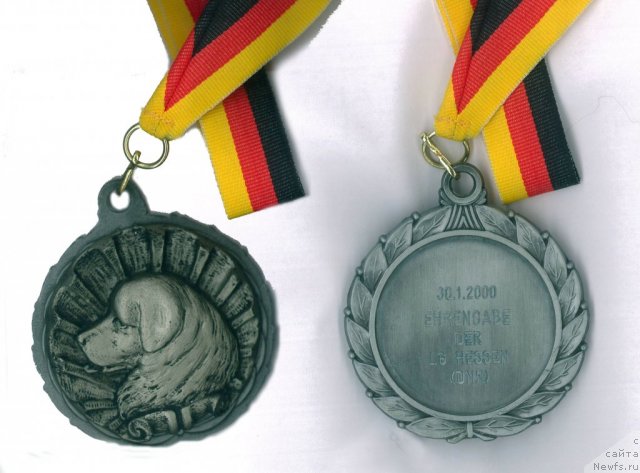 Фотография № 64202