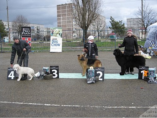 Фотография № 64209