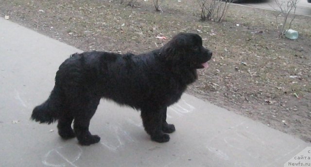 Фотография № 64224