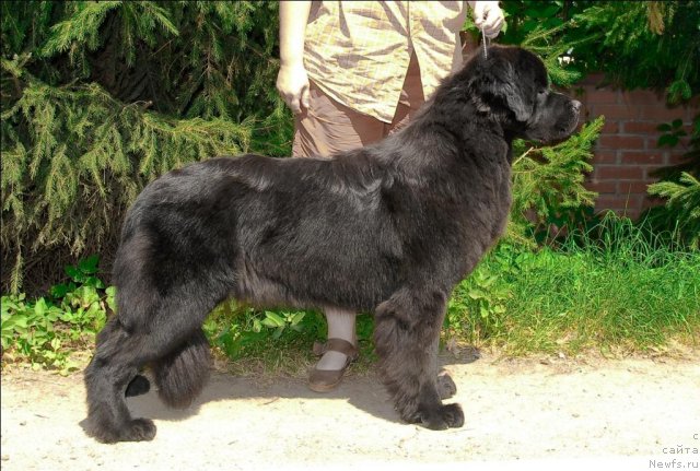 Фотография № 64256