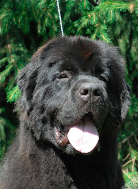 Фотография № 64258