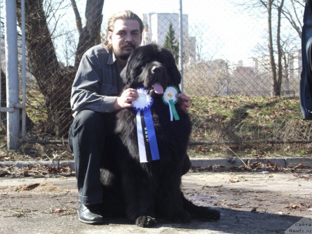 Фотография № 64306