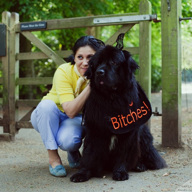 Фотография № 64314