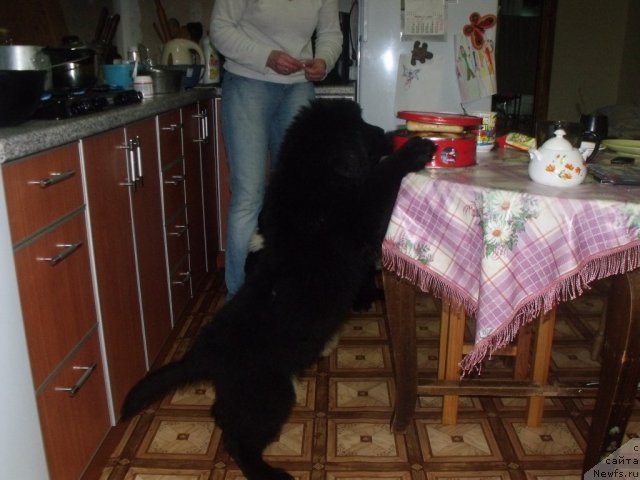 Фото: Желанная Моя (Лана)