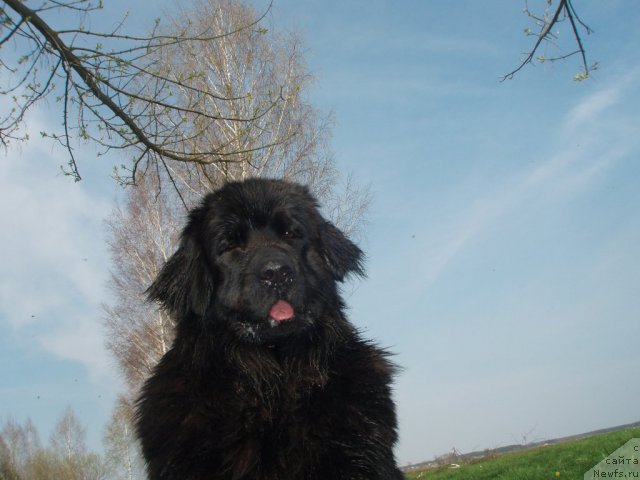 Фото: Татьяна Храменкова