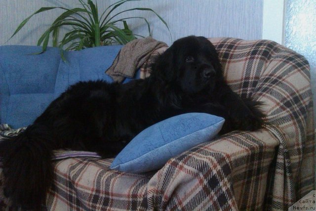 Фото: Екатерина Огнева