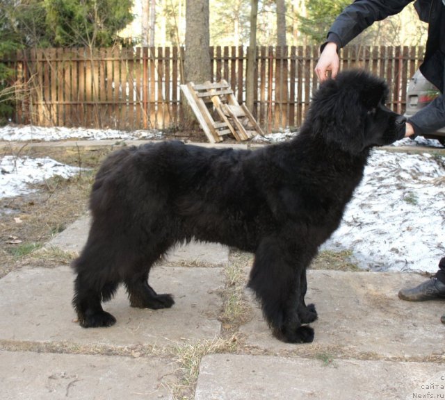 Фотография № 64339