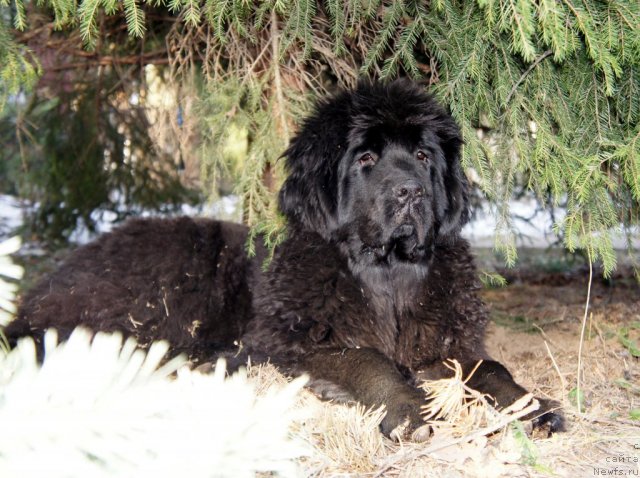 Фотография № 64341