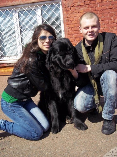 Фото: ньюфаундленд Лесли-Сиа Фловер (Leslley-Sia Flover), Марина Полевик