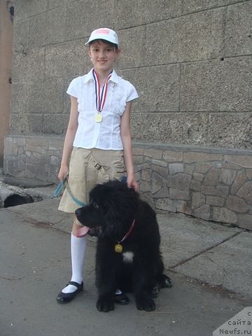 Фото: ньюфаундленд Кара Аюлар Адорабал Принц, Шамбадал Лиза
