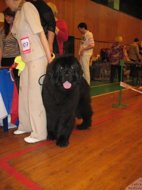 Фотография № 64411