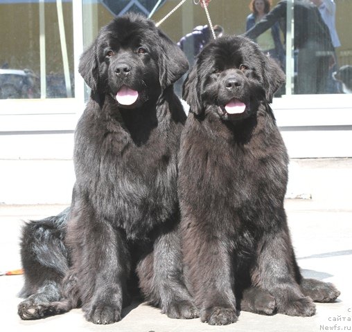 Фотография № 64412