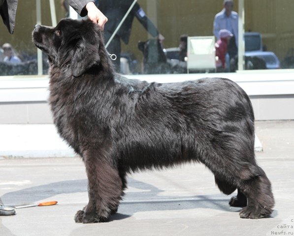 Фотография № 64413