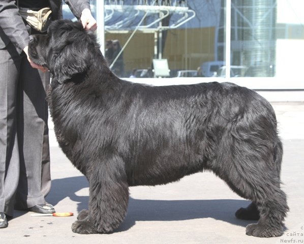 Фотография № 64426