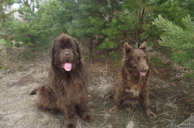 Фотография № 64429