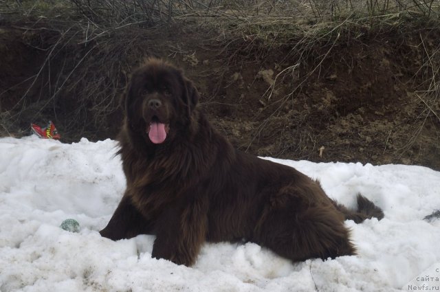 Фотография № 64434