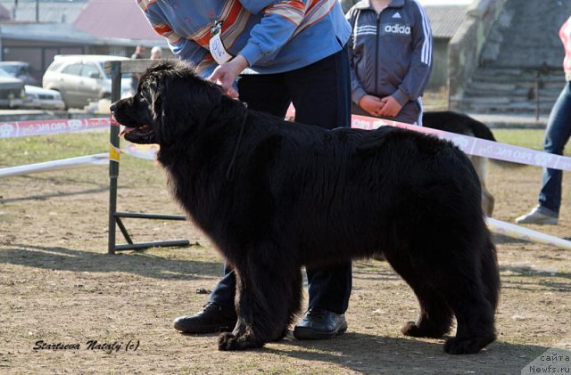 Фото: Фиаметтахауз Монако Принцесс