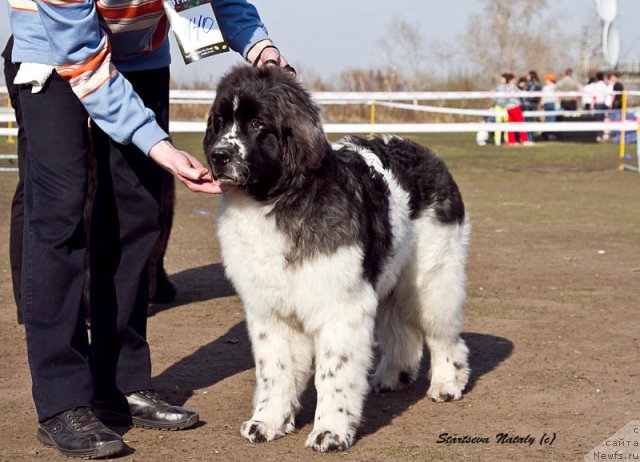 Фото: Фиаметтахауз Нушаба