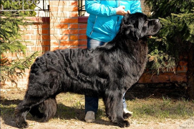 Фотография № 64476