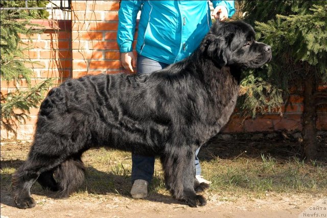 Фотография № 64477