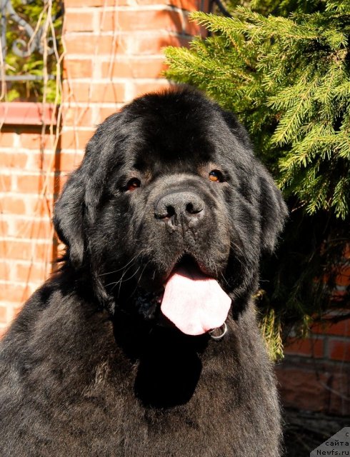 Фотография № 64480