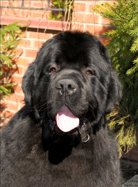 Фотография № 64481