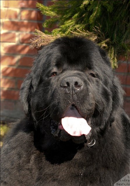 Фотография № 64484