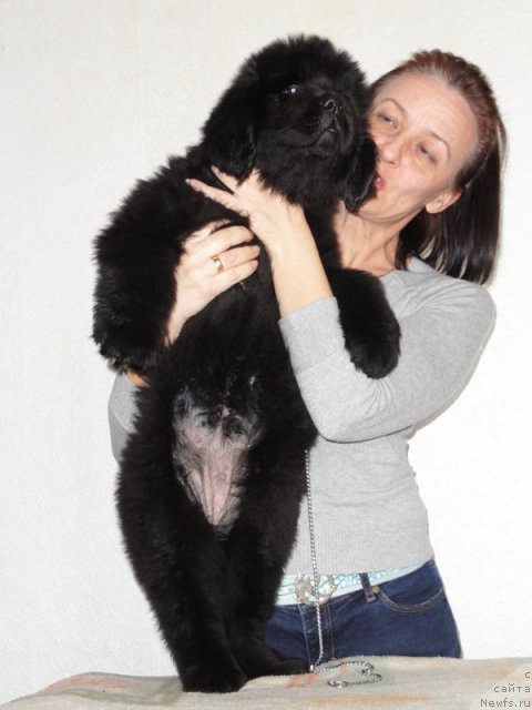 Фото: Бегущая по волнам Дансинг Квин, Ольга Королева