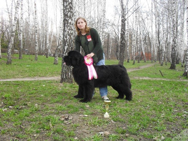 Фотография № 64508