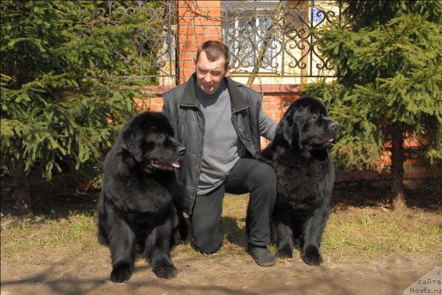 Фотография № 64515