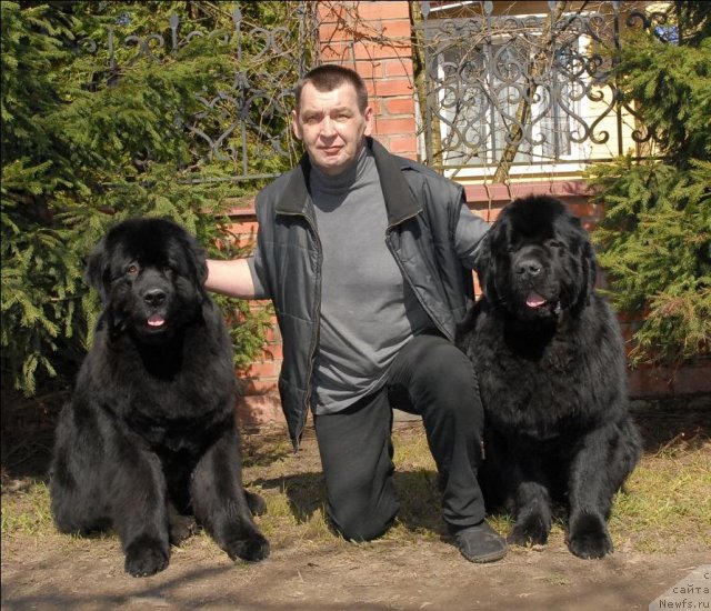 Фотография № 64516