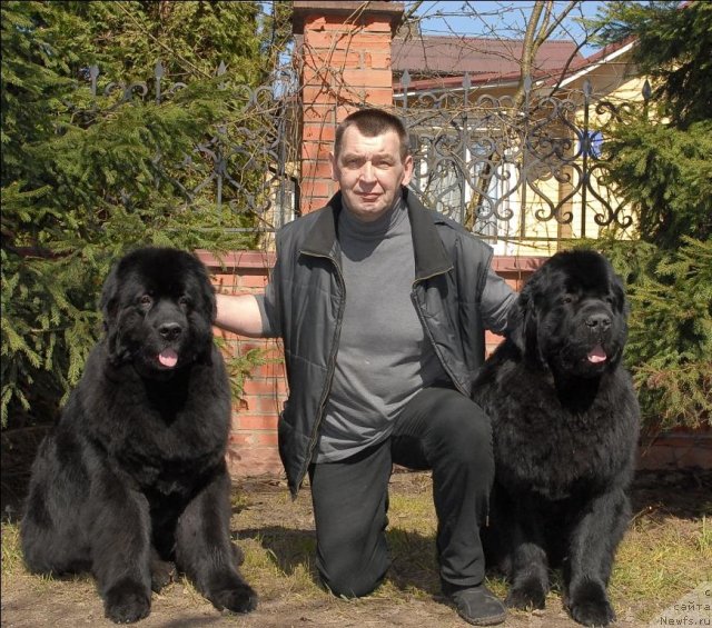 Фотография № 64517