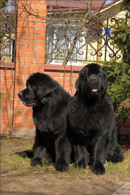 Фотография № 64518