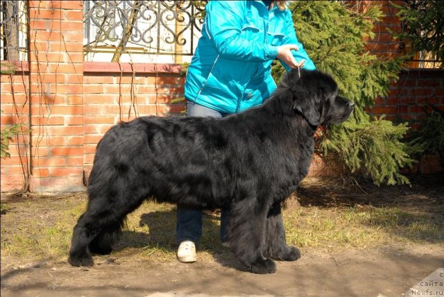 Фотография № 64520