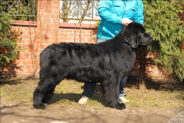 Фотография № 64521