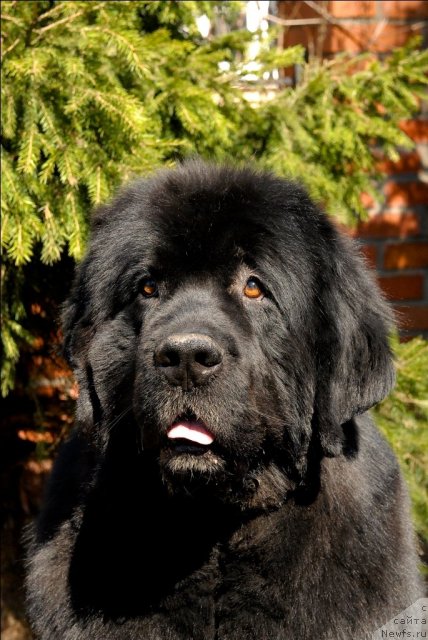 Фотография № 64522