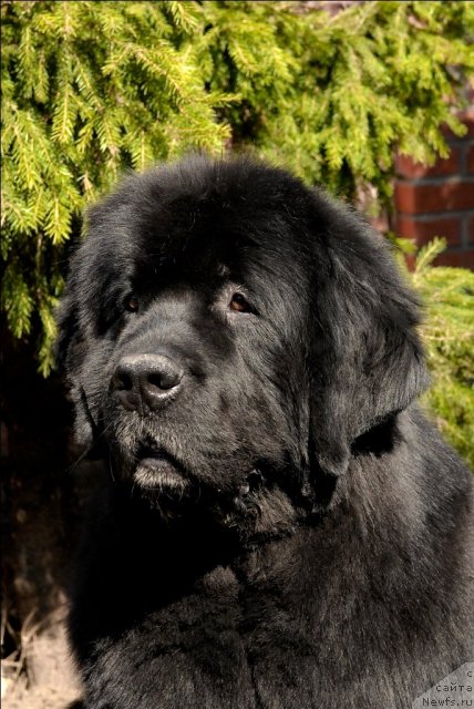 Фотография № 64523