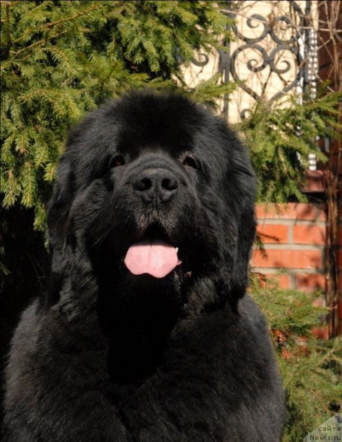 Фотография № 64524