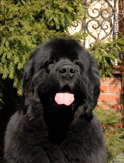 Фотография № 64525