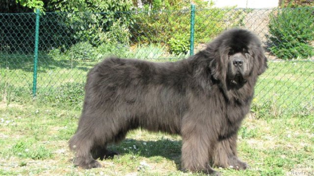 Фотография № 64609