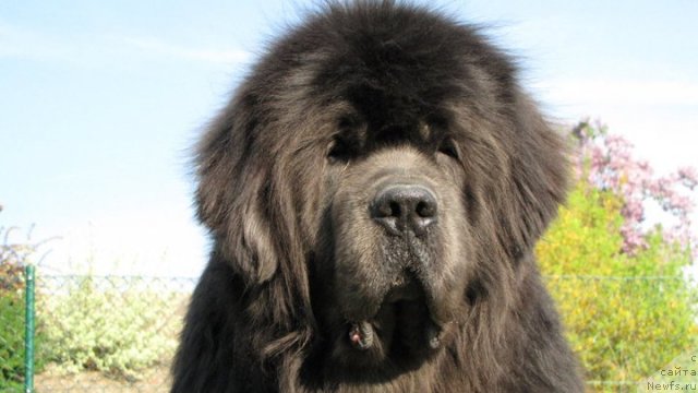 Фотография № 64611