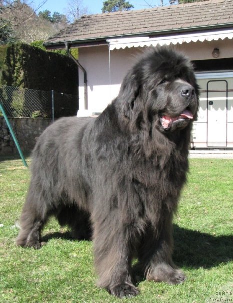 Фотография № 64612