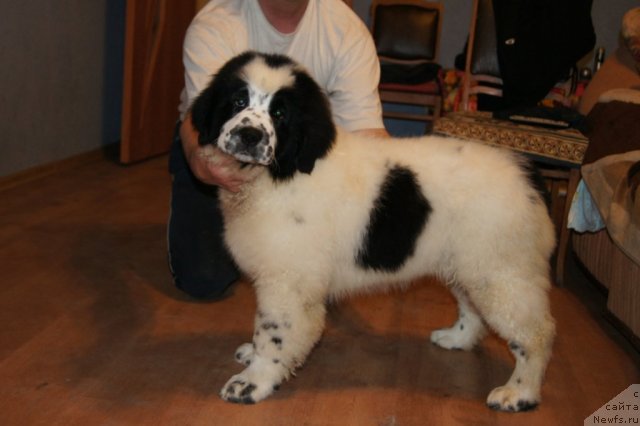 Фотография № 64644