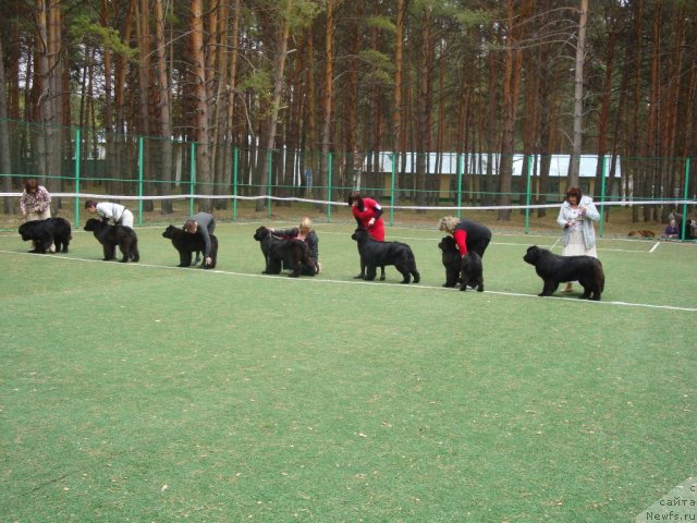 Фотография № 64739