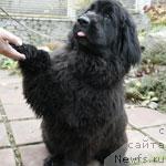 Фото: Оксана Мазур