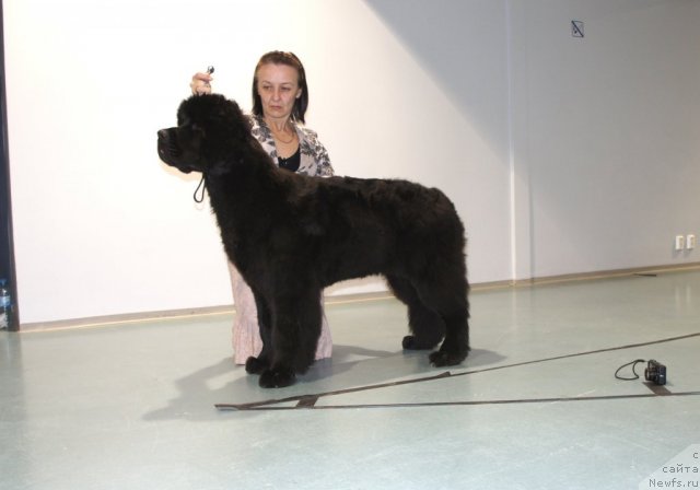 Фотография № 64788