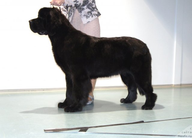 Фотография № 64796