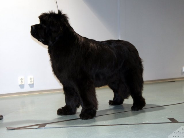 Фотография № 64798