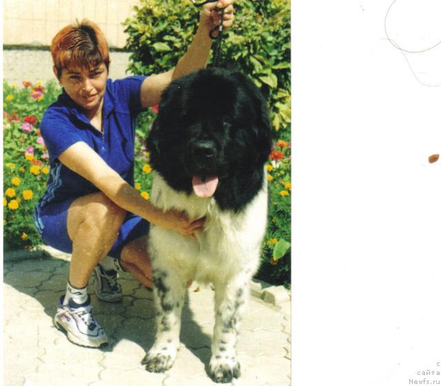 Фотография № 6483